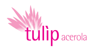 tulip-acerola