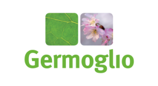germoglio
